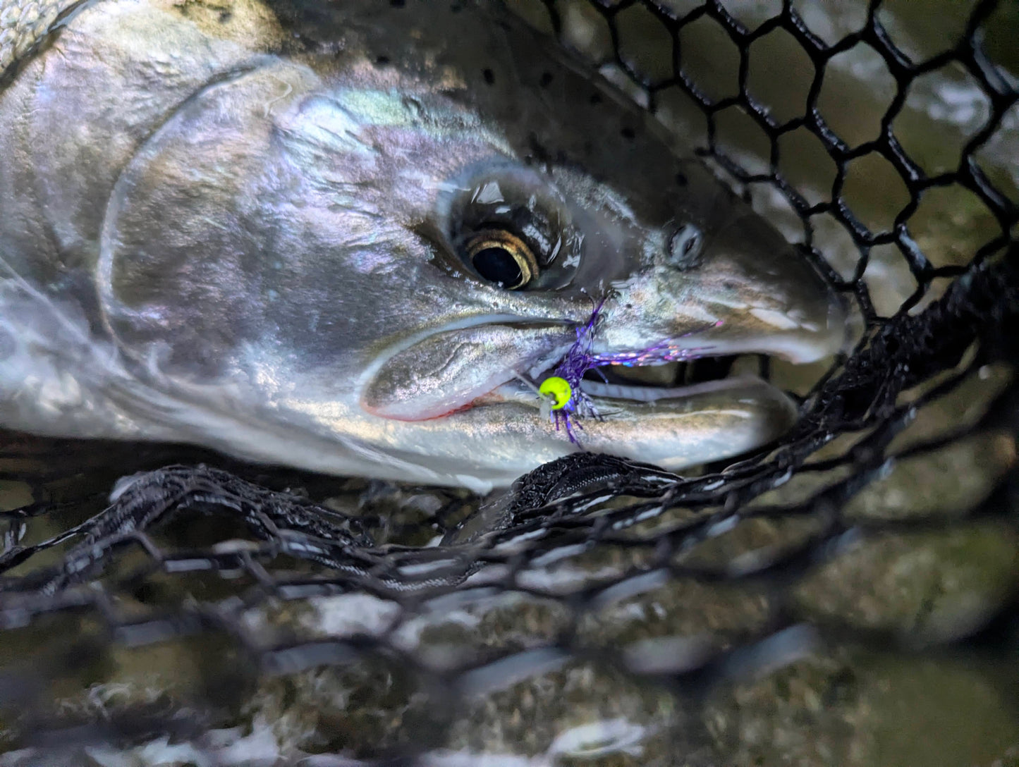 Bling x TH_Fly_Fishing’s UV Bugger