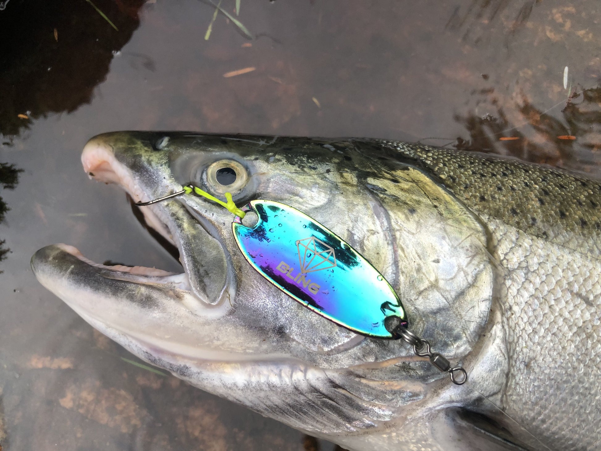 bedazzled fishing lure Bling 10g (1/3oz) Trailing Hook Spoon Blue Steel